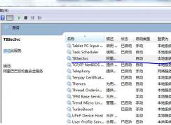 Win7系統(tǒng)中tbsecsvc是什么進(jìn)程？tbsecsvc.exe占用CPU高的刪除方法