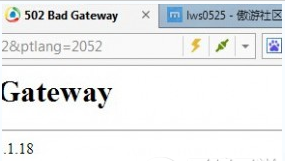 網頁打不開提示502 bad gateway 的win10解決方法