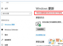 win10系統(tǒng)無法自動(dòng)更新提示“某些設(shè)置隱藏或由你的組織來管理”怎么辦