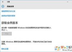 win10如何獲取會(huì)員版本？win10獲取會(huì)員版本開(kāi)始按鈕灰色怎么辦？