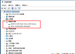 bios檢測(cè)有兩個(gè)硬盤，但是進(jìn)入windows系統(tǒng)只顯示一個(gè)硬盤怎么辦？