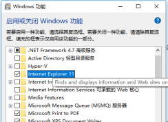 win10系統(tǒng)啟用和關(guān)閉windows功能中找不到ie11組件怎么辦？