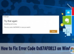 win10應(yīng)用商店無法安裝應(yīng)用提示錯誤代碼0x87AF0813的解決方法