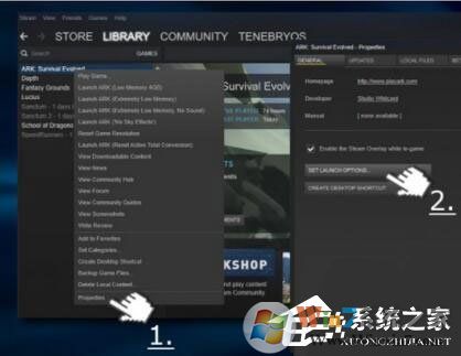 Win10玩生存進化報錯“視頻驅(qū)動程序崩潰并被重置”怎么解決？