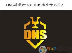 DNS盾是什么？DNS盾有什么作用？DNS盾怎么用？