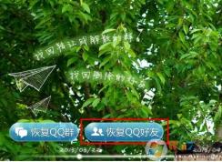 qq怎么恢復(fù)被刪除的好友？恢復(fù)QQ好友的方法