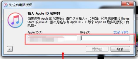 如何用itunes導(dǎo)入音樂？小編教你itunes導(dǎo)入音樂的方法