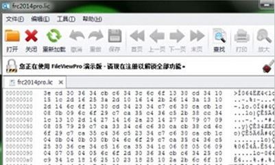 lic文件怎么打開？lic格式文件打開亂碼的解決方法