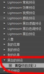 lr預(yù)設(shè)怎么導(dǎo)入？教你導(dǎo)入lr預(yù)設(shè)的詳細(xì)操作方法