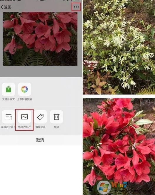 手機(jī)怎么截長(zhǎng)圖？教你蘋果手機(jī)截長(zhǎng)圖操作方法