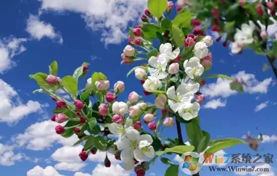 ps色彩范圍怎么用？教你PS使用色彩范圍來摳圖的方法