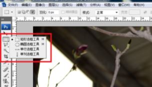 ps局部放大怎么調(diào)？PS放大局部位置的操作方法（含快捷鍵）