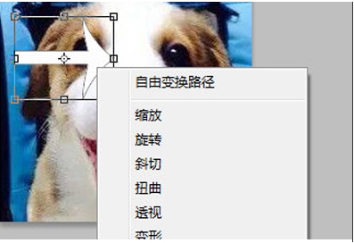 PS旋轉圖片,PS怎么旋轉圖片、圖層？
