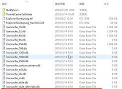 Win10如何清除縮略圖緩存？Win10清理縮略圖緩存教程