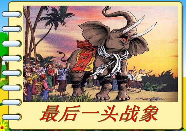 最后一頭戰(zhàn)象ppt免費版