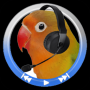 經典復讀機APP下載|經典復讀機學習軟件 V1.34安卓版