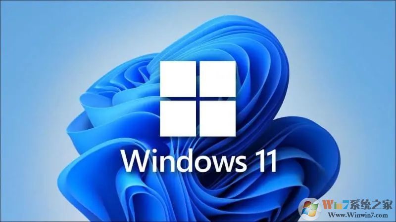 Win11家庭版和專業(yè)版有什么區(qū)別？Win11家庭版和專業(yè)版哪個(gè)好用？