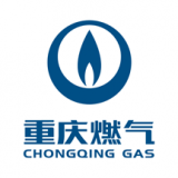 重慶燃?xì)釧PP