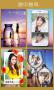 InstaMag(拼立得)最新版