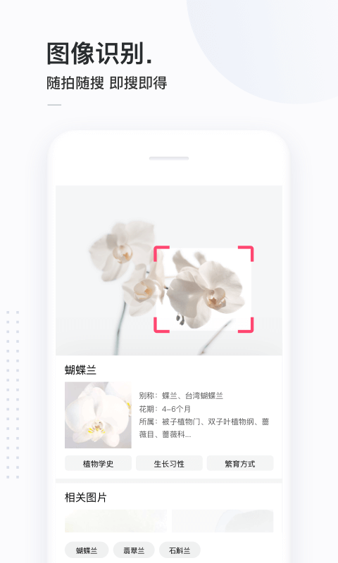 簡單搜索標(biāo)準版