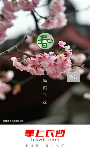 掌上長(zhǎng)沙手機(jī)官網(wǎng)版