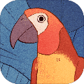 孤獨(dú)的鳥兒國際版