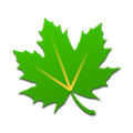 綠色守護(hù)(Greenify)標(biāo)準(zhǔn)版