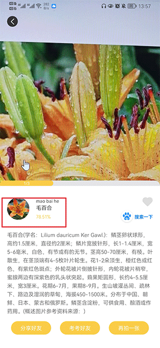 搏牛拍照識(shí)物手機(jī)版