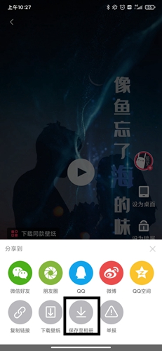 羞兔動態(tài)壁紙安卓版