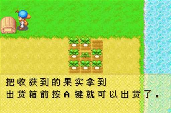 牧場(chǎng)物語礦石鎮(zhèn)的伙伴們手游