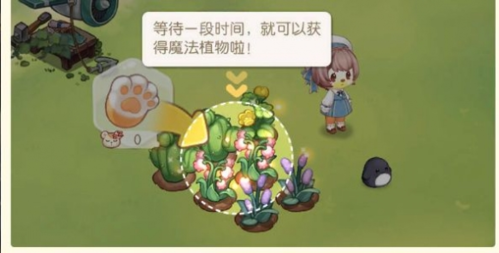 奧比島：夢(mèng)想國度周年版
