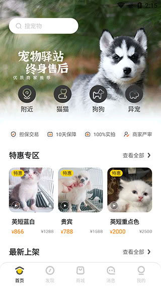 買(mǎi)只寵物