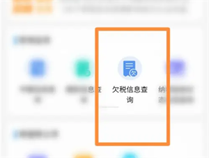 江蘇稅務(wù)中文版