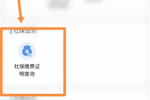 江蘇稅務(wù)中文版