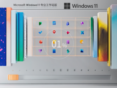 Windows11 22H2 64位 專(zhuān)業(yè)工作站版 | Win11設(shè)計(jì)師專(zhuān)用版