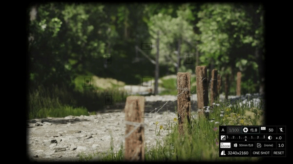 模擬美景攝影(Lushfoil Photography Sim)
