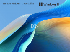 Win11 23H2專(zhuān)業(yè)精簡(jiǎn)版 | Win11 64位免TPM版下載