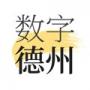 數(shù)字德州官方正版