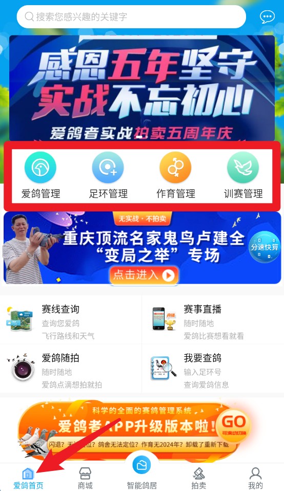 愛鴿者app手機版