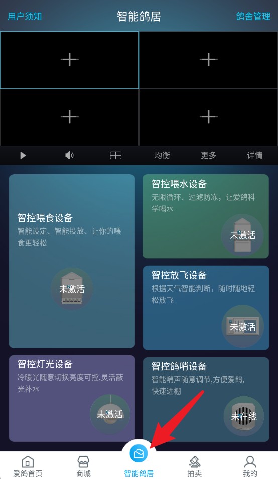 愛鴿者app手機版