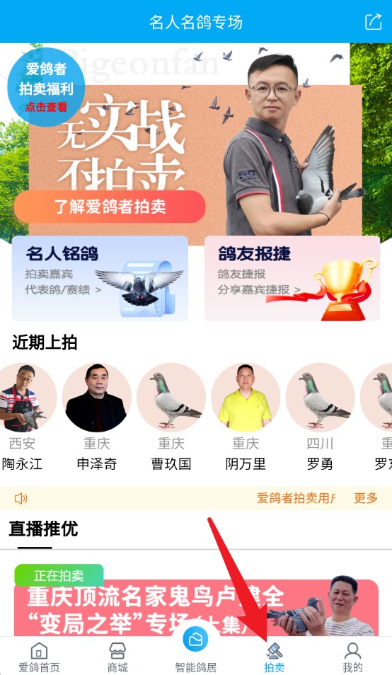 愛鴿者app手機版
