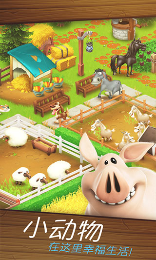 卡通農(nóng)場(chǎng)(Hay Day)
