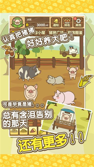 養(yǎng)豬場(chǎng)mix