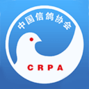 中國(guó)信鴿協(xié)會(huì)app