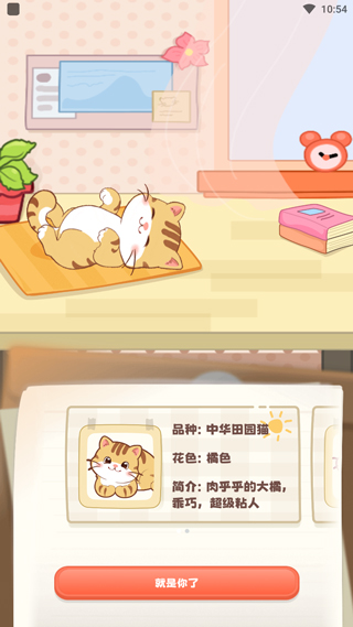 桌面喵互動(dòng)