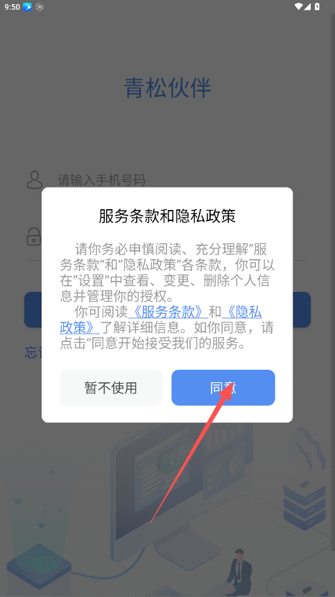 青松伙伴