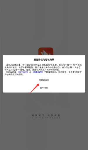 新鴿拍