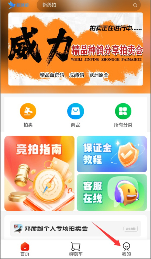 新鴿拍