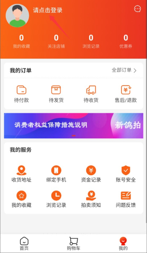 新鴿拍