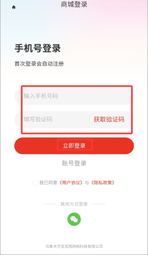 新鴿拍
